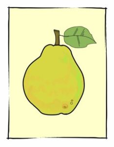 Giving Green Gifts: Tips and Ideas Image